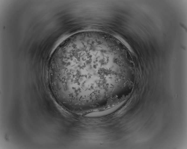X0000092331101200710121528