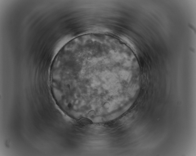 X0000092331103200710121528