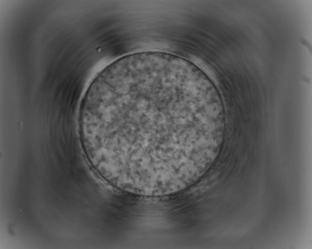 X0000092331104200710121528