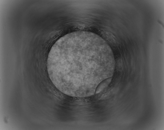 X0000092331105200710121528