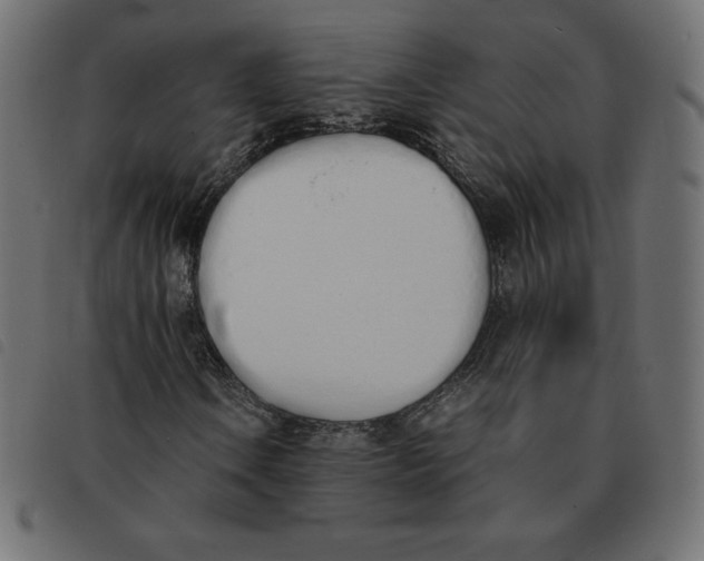 X0000092331106200710121528