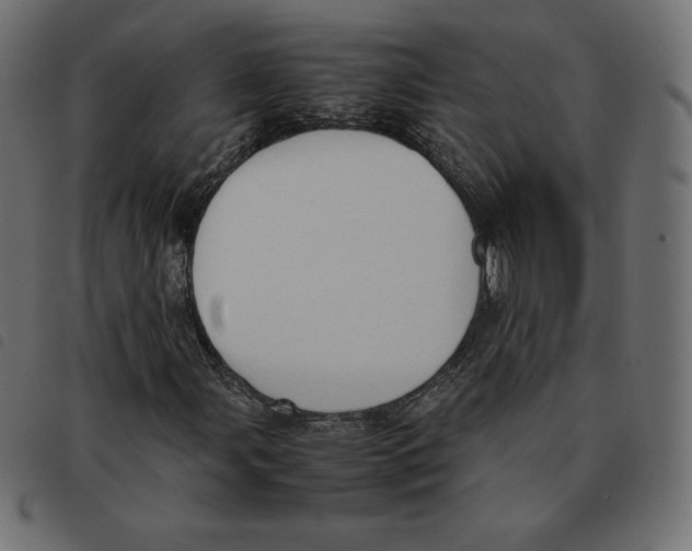 X0000092331107200710121528