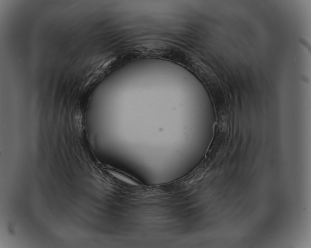 X0000092331108200710121528