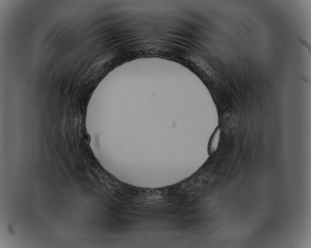 X0000092331111200710121528