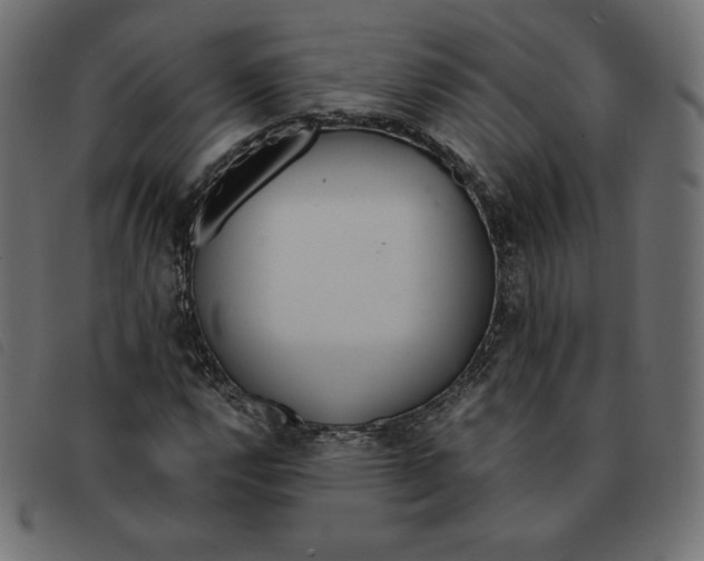 X0000092331112200710121528