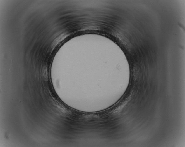 X0000092331113200710121528