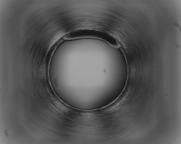 X0000092331114200710121528