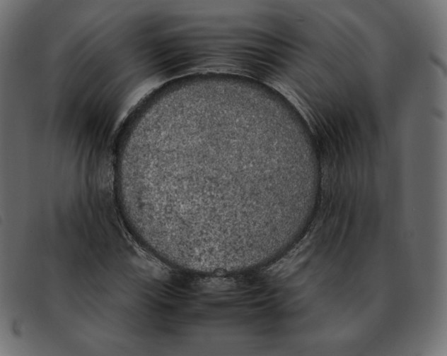 X0000092331115200710121528
