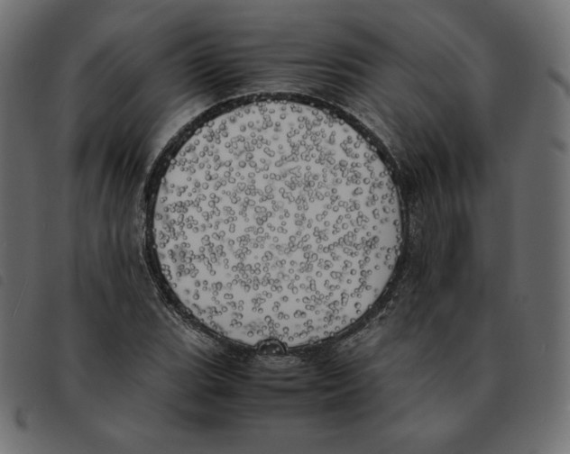 X0000092331119200710121528