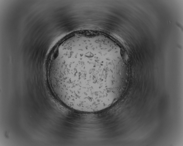 X0000092331120200710121528