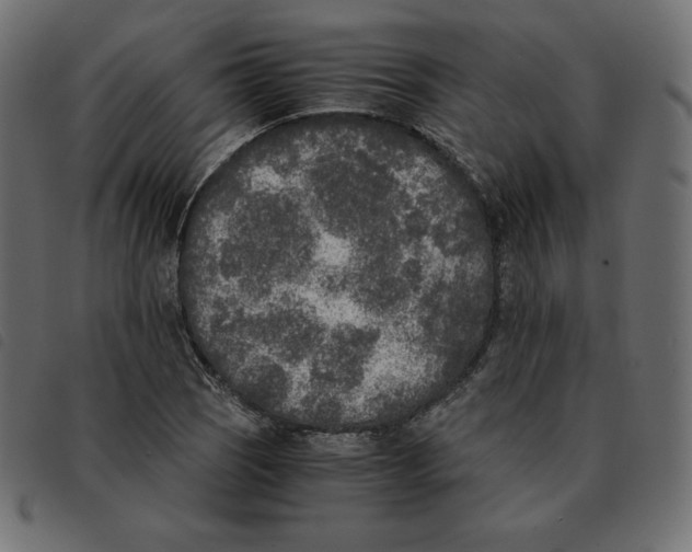 X0000092331121200710121528