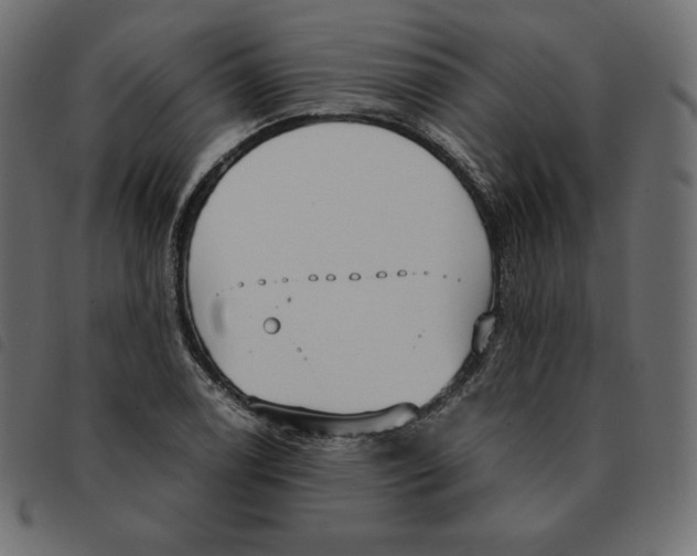 X0000092331122200710121528