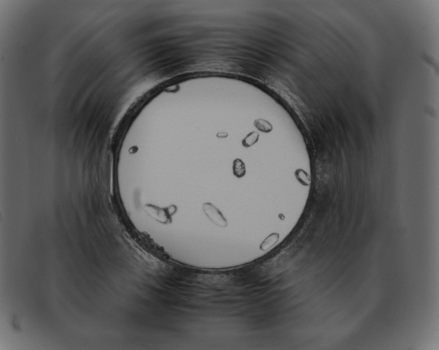 X0000092331123200710121528