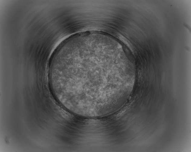 X0000092331124200710121528