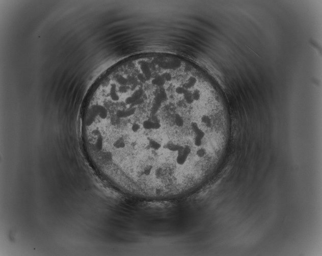 X0000092331125200710121528