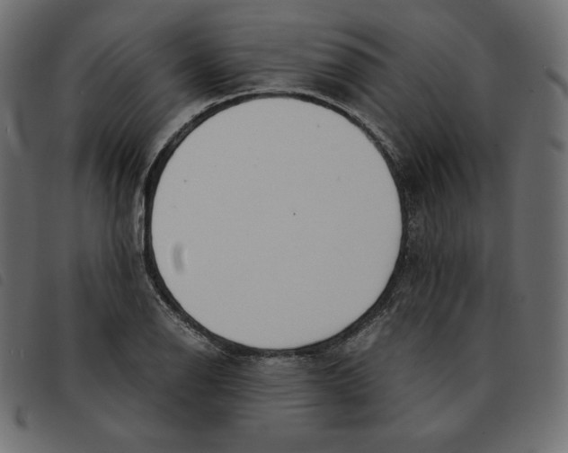 X0000092331126200710121528