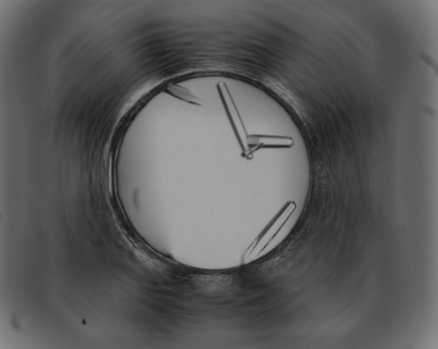 X0000092331127200710121528