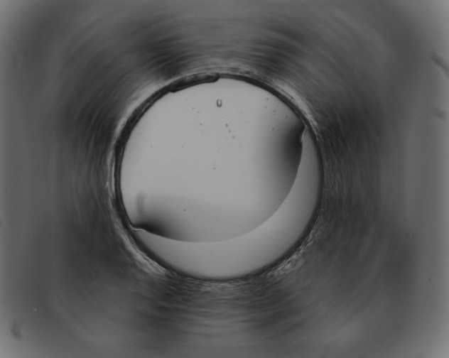 X0000092331128200710121528