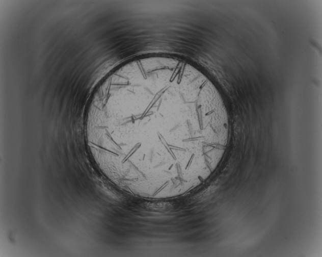 X0000092331129200710121528