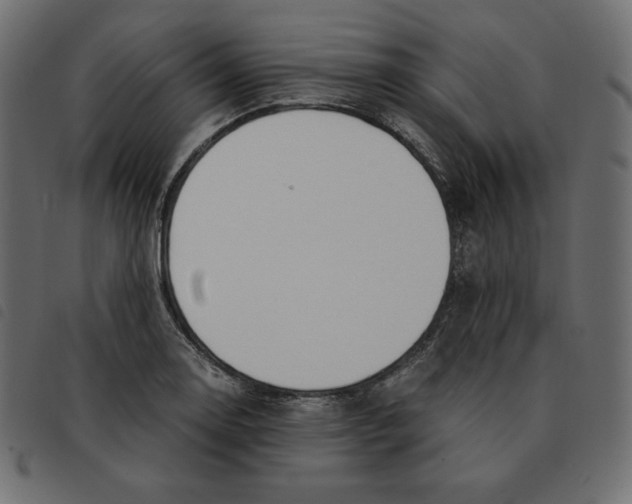 X0000092331130200710121528