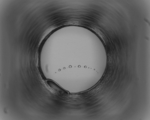 X0000092331131200710121528