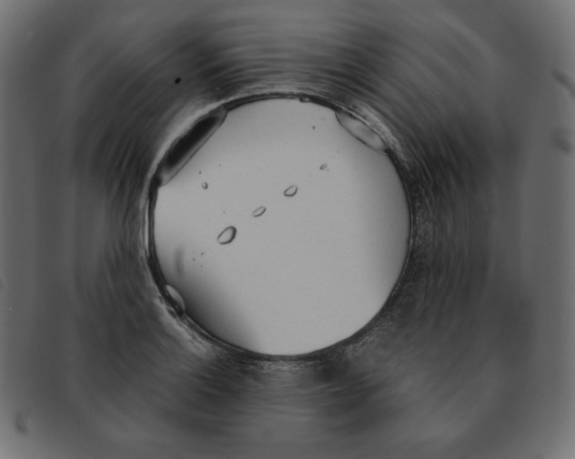 X0000092331132200710121528