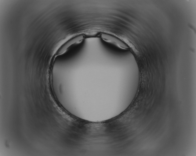 X0000092331134200710121528