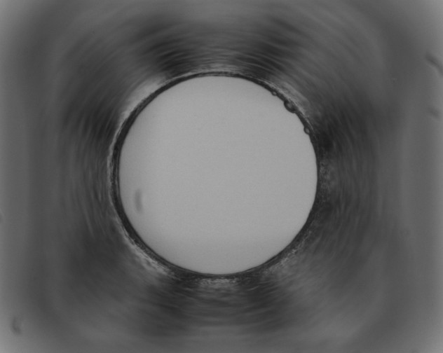 X0000092331135200710121528