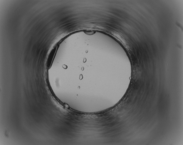 X0000092331136200710121528