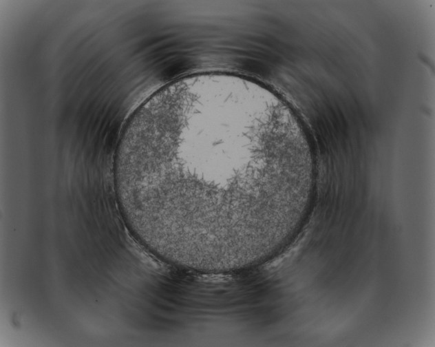 X0000092331137200710121528
