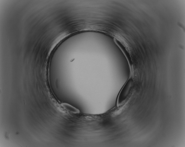 X0000092331138200710121528