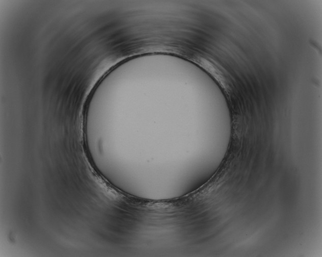 X0000092331140200710121528