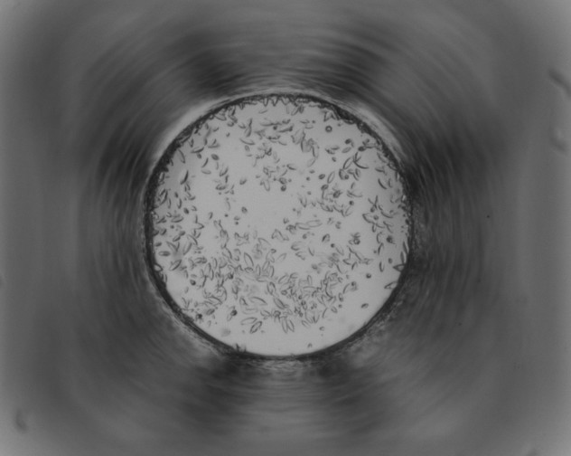 X0000092331142200710121528