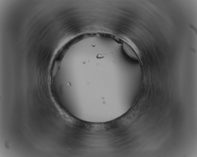 X0000092331144200710121528