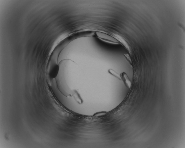 X0000092331146200710121528