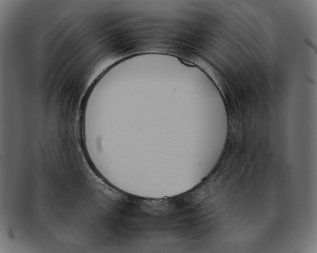 X0000092331147200710121528