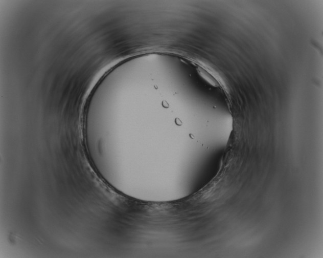 X0000092331148200710121528