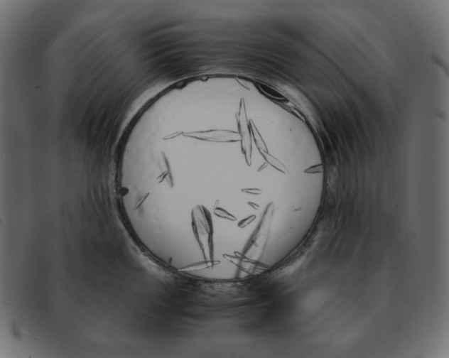 X0000092331149200710121528