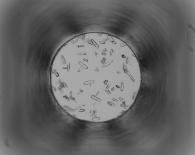 X0000092331150200710121528
