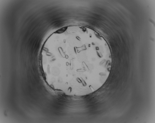 X0000092331152200710121528