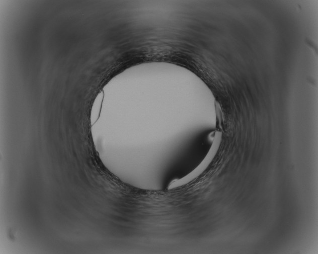 X0000092331153200710121528