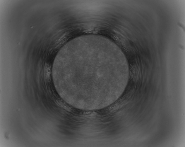 X0000092331154200710121528