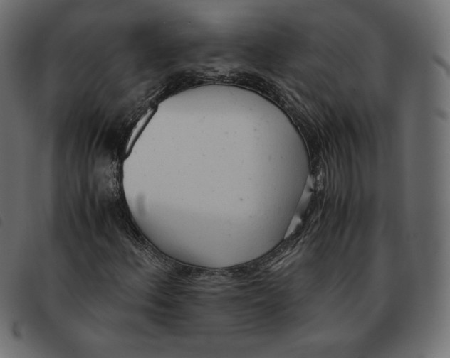 X0000092331156200710121528