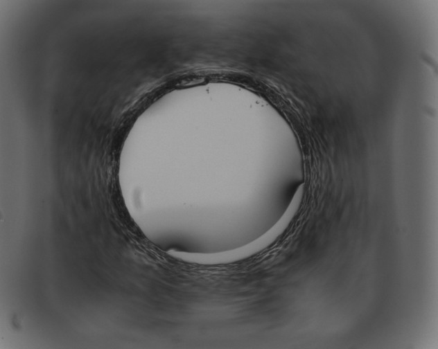 X0000092331157200710121528