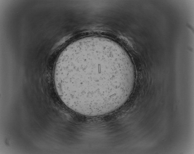 X0000092331159200710121528