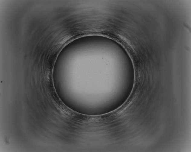 X0000092331161200710121528