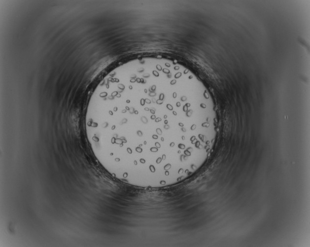 X0000092331162200710121528