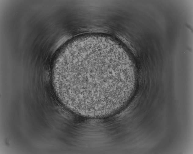 X0000092331163200710121528