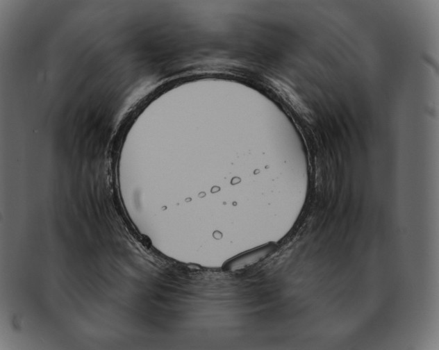 X0000092331164200710121528