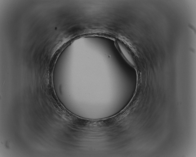 X0000092331165200710121528